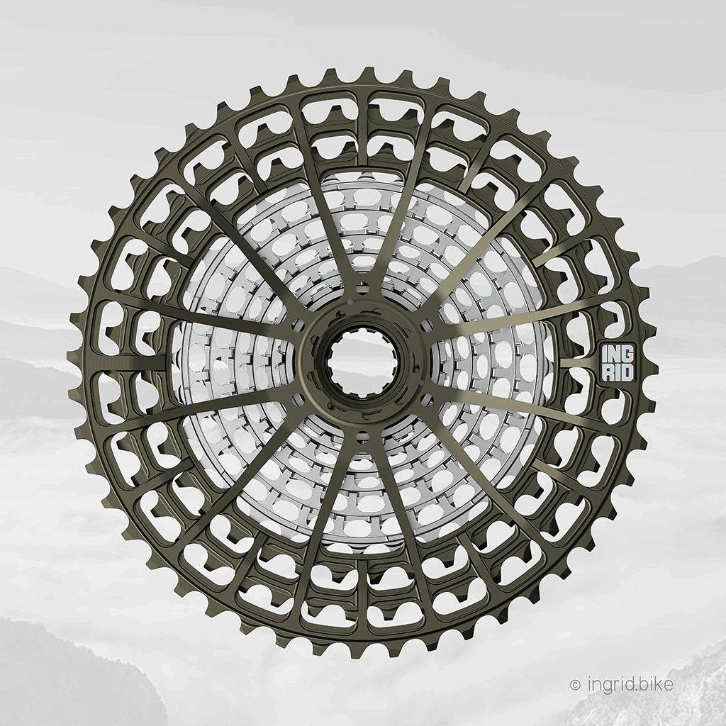 INGRID Cassette 48T10 12V, 10-48 XD (incluye herramienta)