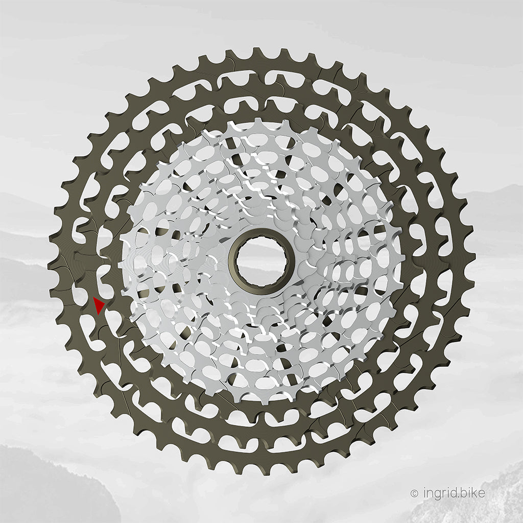 INGRID Cassette 48T10 12V, 10-48 XD (incluye herramienta)