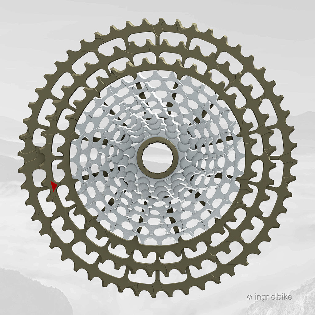 INGRID Cassette 52T10 12V, 10-52T (SRAM XD, incluye herramienta)