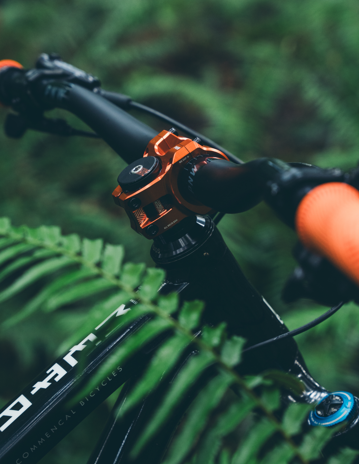 Potencia PNW Loam
