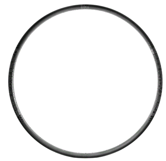 Industry Nine Enduro 305v3 Rim