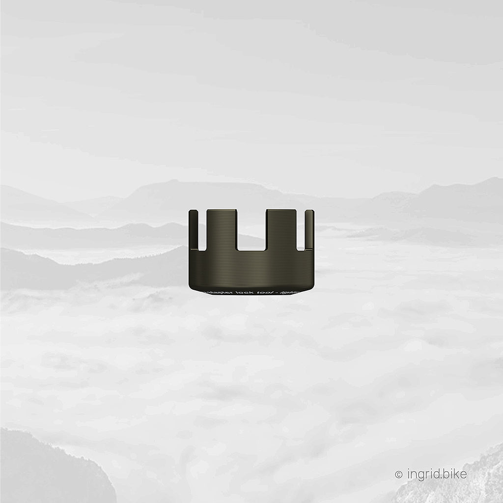 INGRID Cassette 46T10 11V, 10-46T (SRAM XD, incluye herramienta)