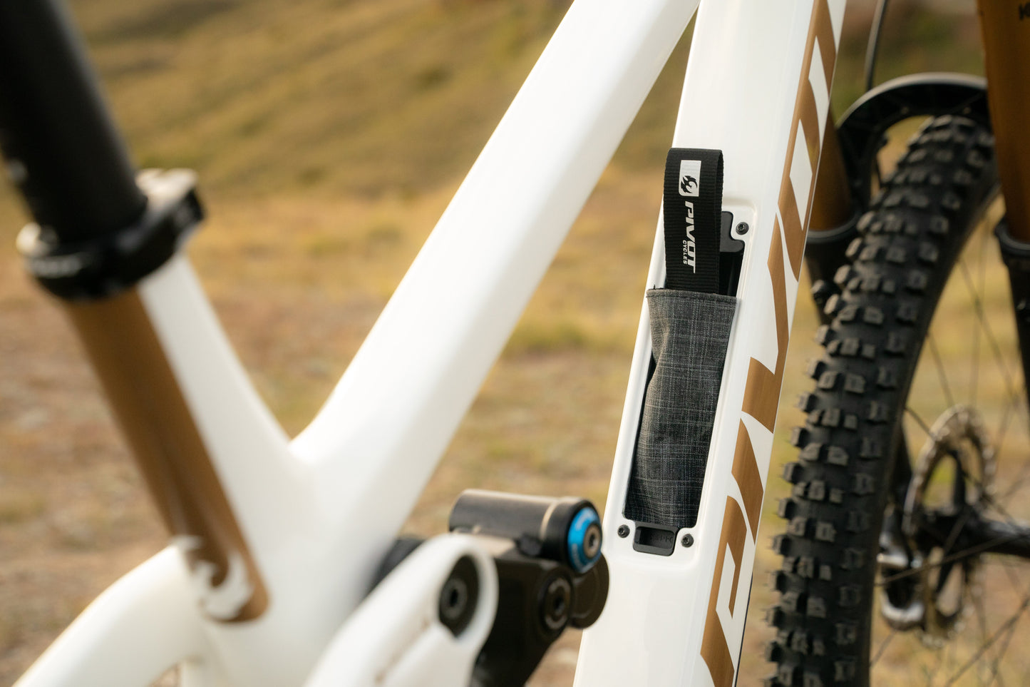 Pivot Firebird detalle