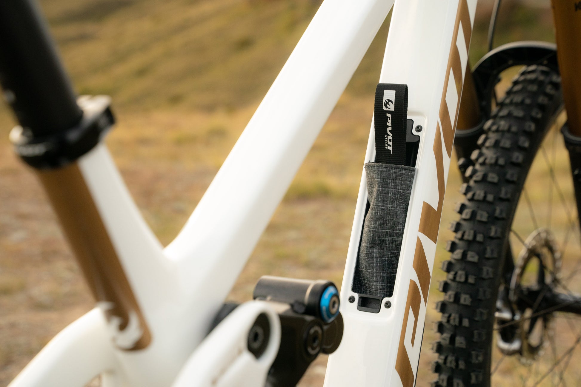 Pivot Firebird detalle