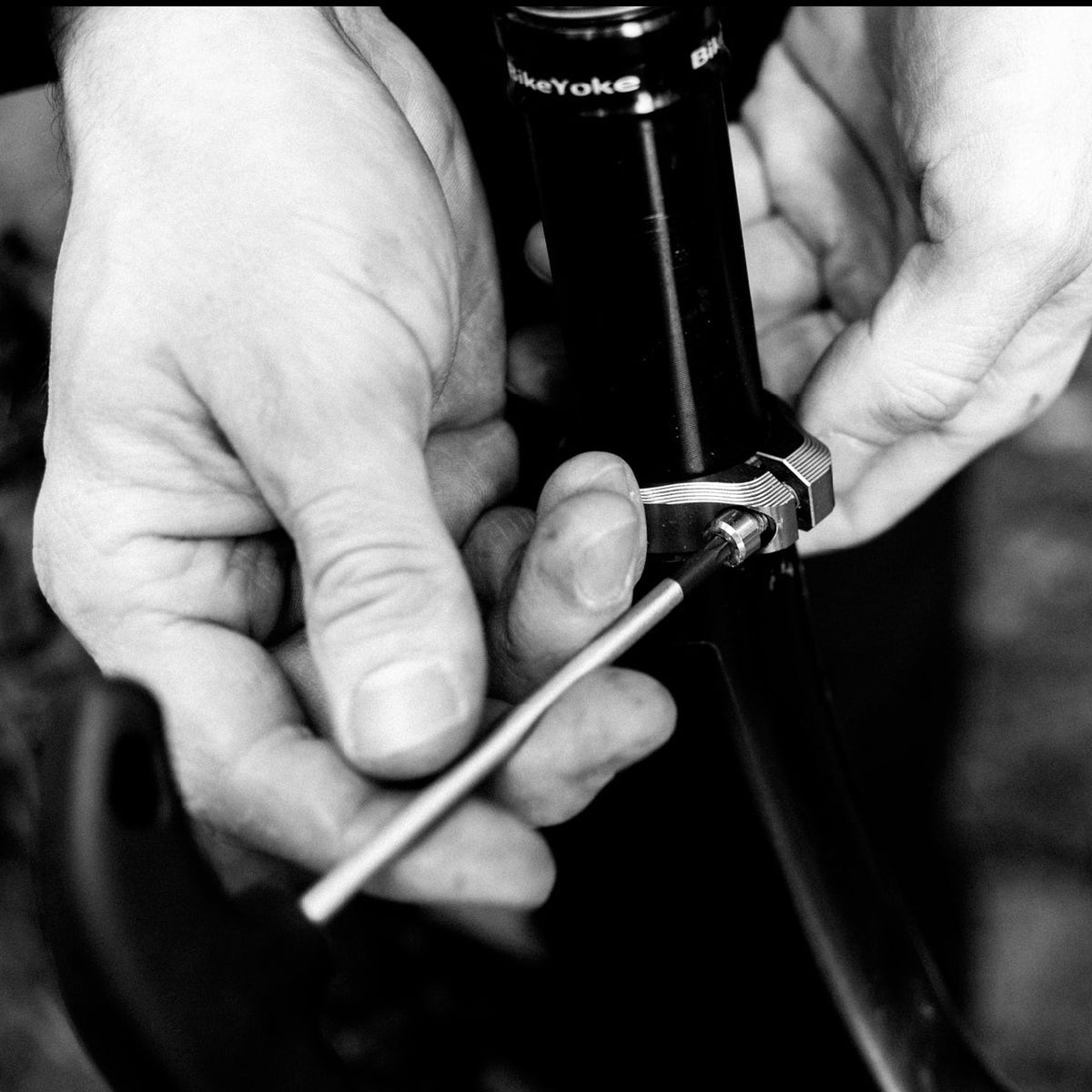 OAK Orbit Seatclamp Kashgold