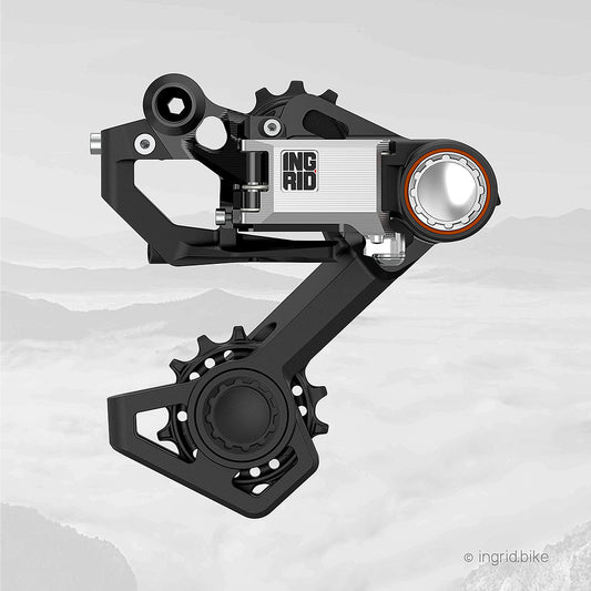 INGRID RD1 Shimano 11V Raw