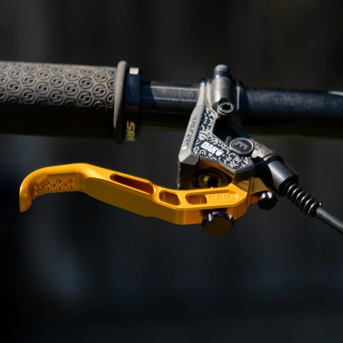 OAK RLP Dorado