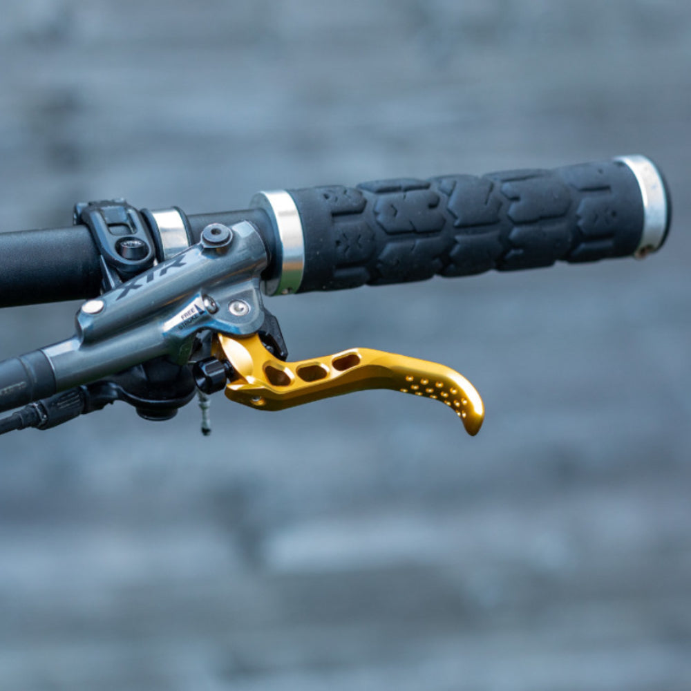 OAK SH Dorado