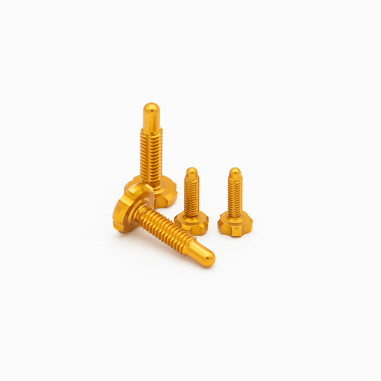 OAK Kit de tornillos RLP Gold