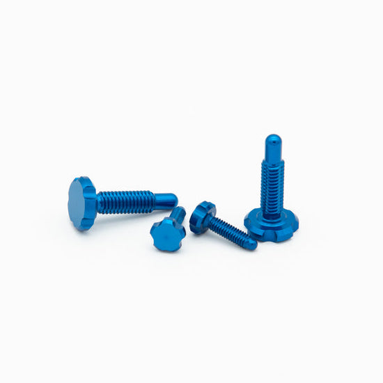 OAK Kit de tornillos RLP Blue