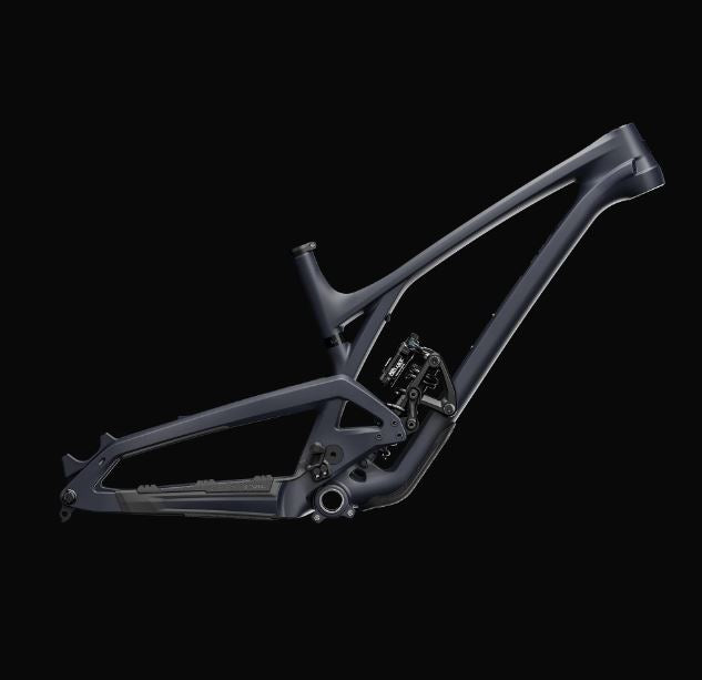 Cuadro EVIL - INSURGENT LS FOX X2 FRAME